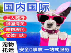 普宁航空快运国际宠物托运 【国